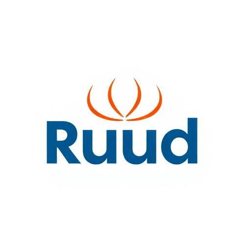 Ruud HVAC equipment logo
